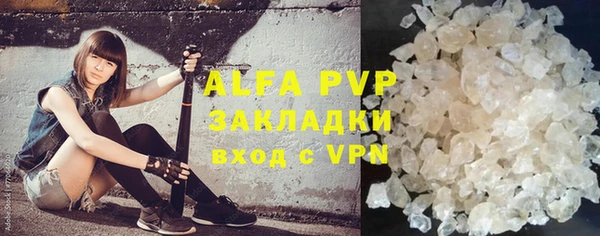 прущая мука Корсаков